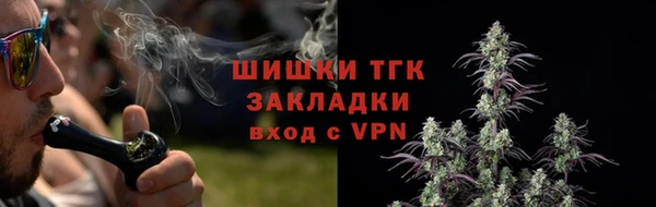 спайс Арсеньев
